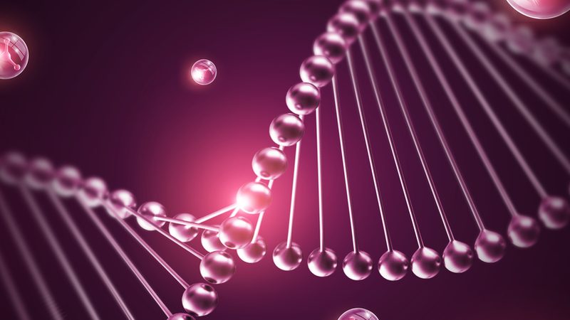 北京生物医药CDMO公司哪家靠谱