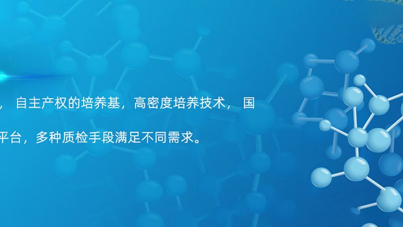 医药CDMO加盟，揭秘那些不为人知的流程细节**