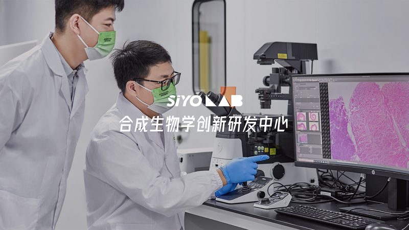CDMO技术平台建设：揭秘构建高效药物研发的秘诀