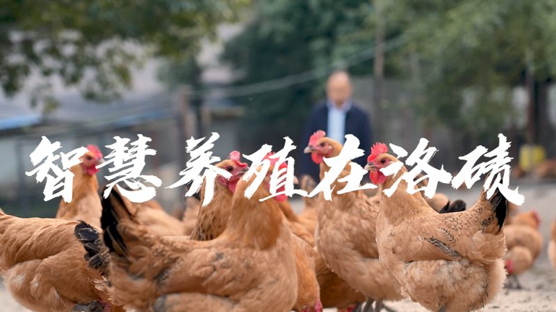 离心管，顾名思义，主要用于离心实验。它通常由塑料或玻璃制成，具有以下特点：