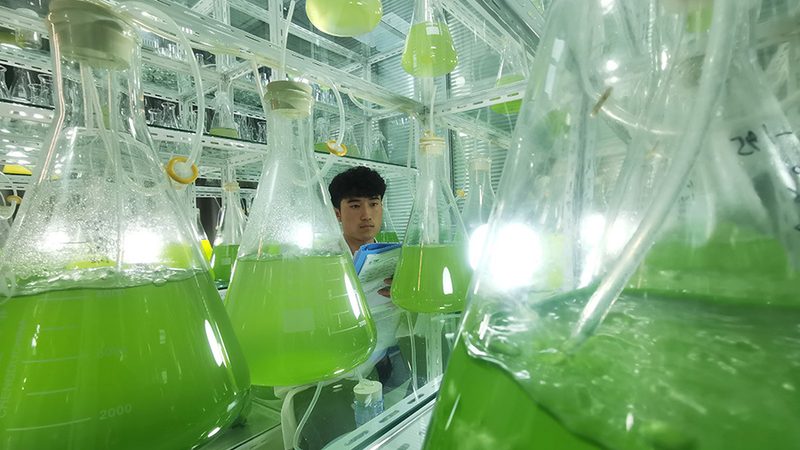 cro企业资质认证：标准解读与重要性