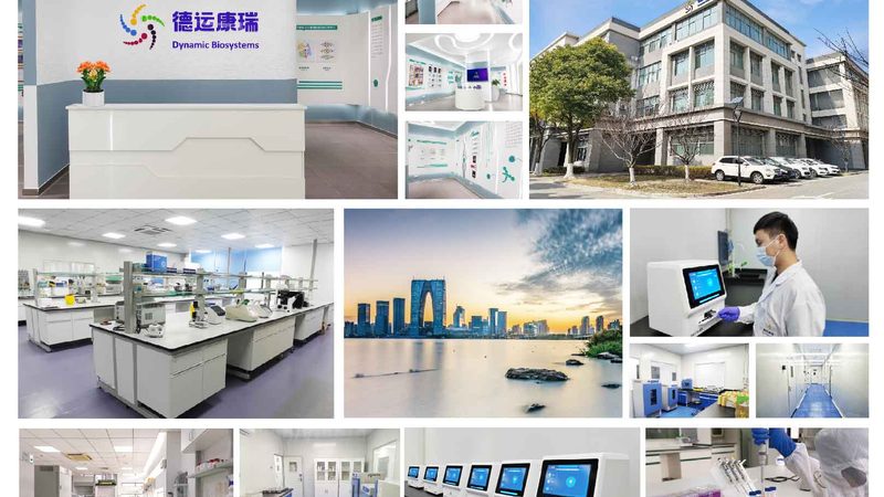 基因解码：个人全基因检测的流程步骤揭秘