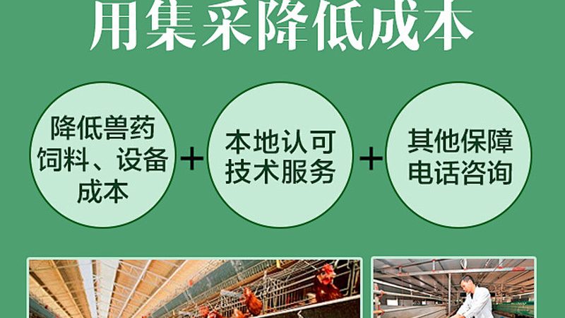 实验室耗材：价格背后的考量因素