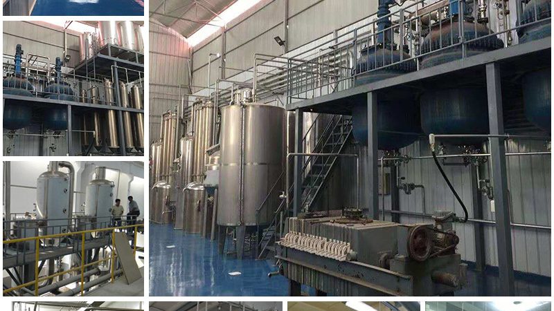 生物医药项目知识产权风险核查：关键步骤与注意事项