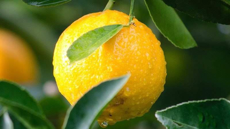 生物医药制剂包装材料定制代工